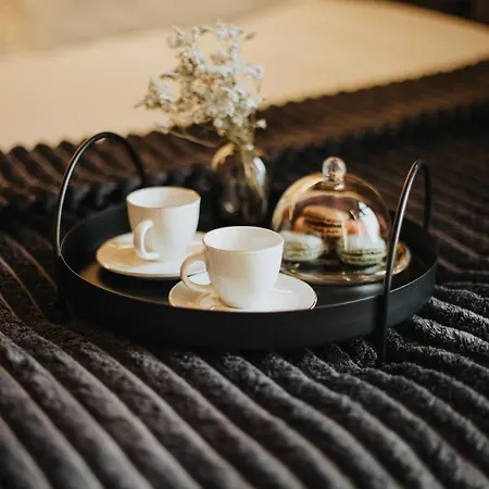 Heyer Apartment Lodz (Lodz)
