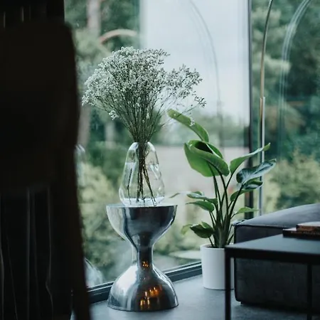 Apartment Heyer *