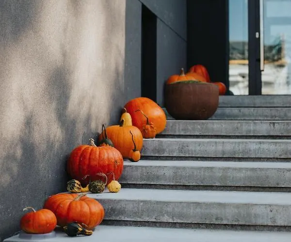 شقة Heyer وودج